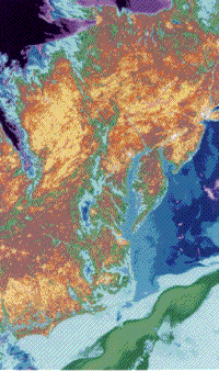 Color ATI image of the eastern U.S.