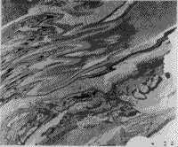 Multispectral image of the geologic map of Pennsylvania - Green Filter
