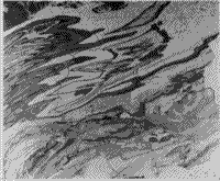 Multispectral image of the geologic map of Pennsylvania - Red Filter