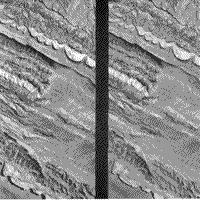Stereoscopic image pair.