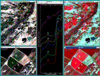 Natural and false color images of field crops around Greybull, Wyoming.
