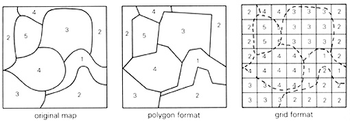 Sketch diagram showing examples of information fields on a map.