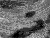 B/W Magellan image of the terrain at Ovda Regio in the Aphrodite Terra on Venus.