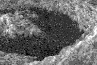 B/W computer-generated perspective view of the Golubkna crater.