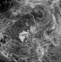 B/W Magellan image of "arachnoids" and "coronae" on Venus.